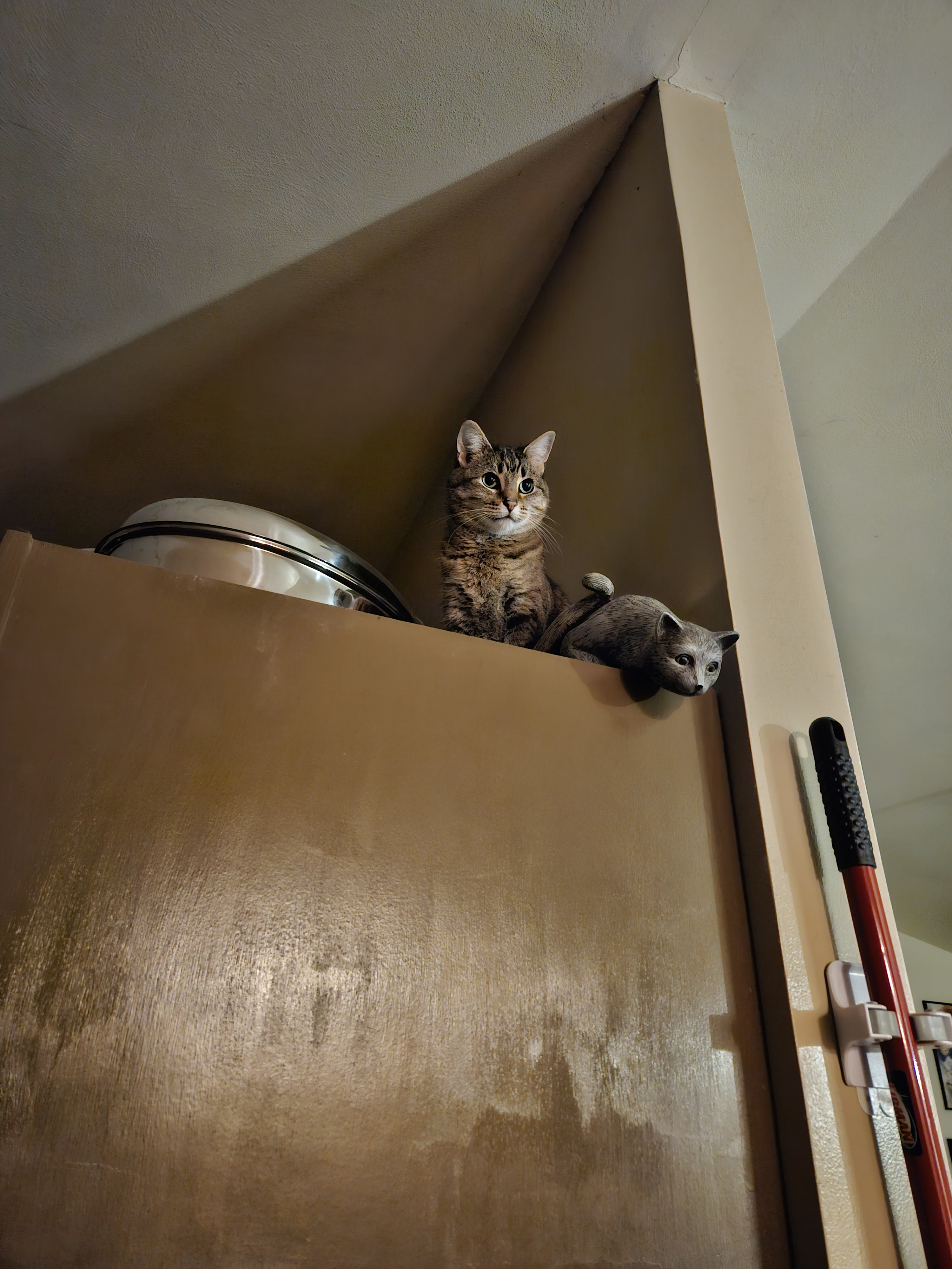 Up high on the kitchen cabinets, next to a fake cat.