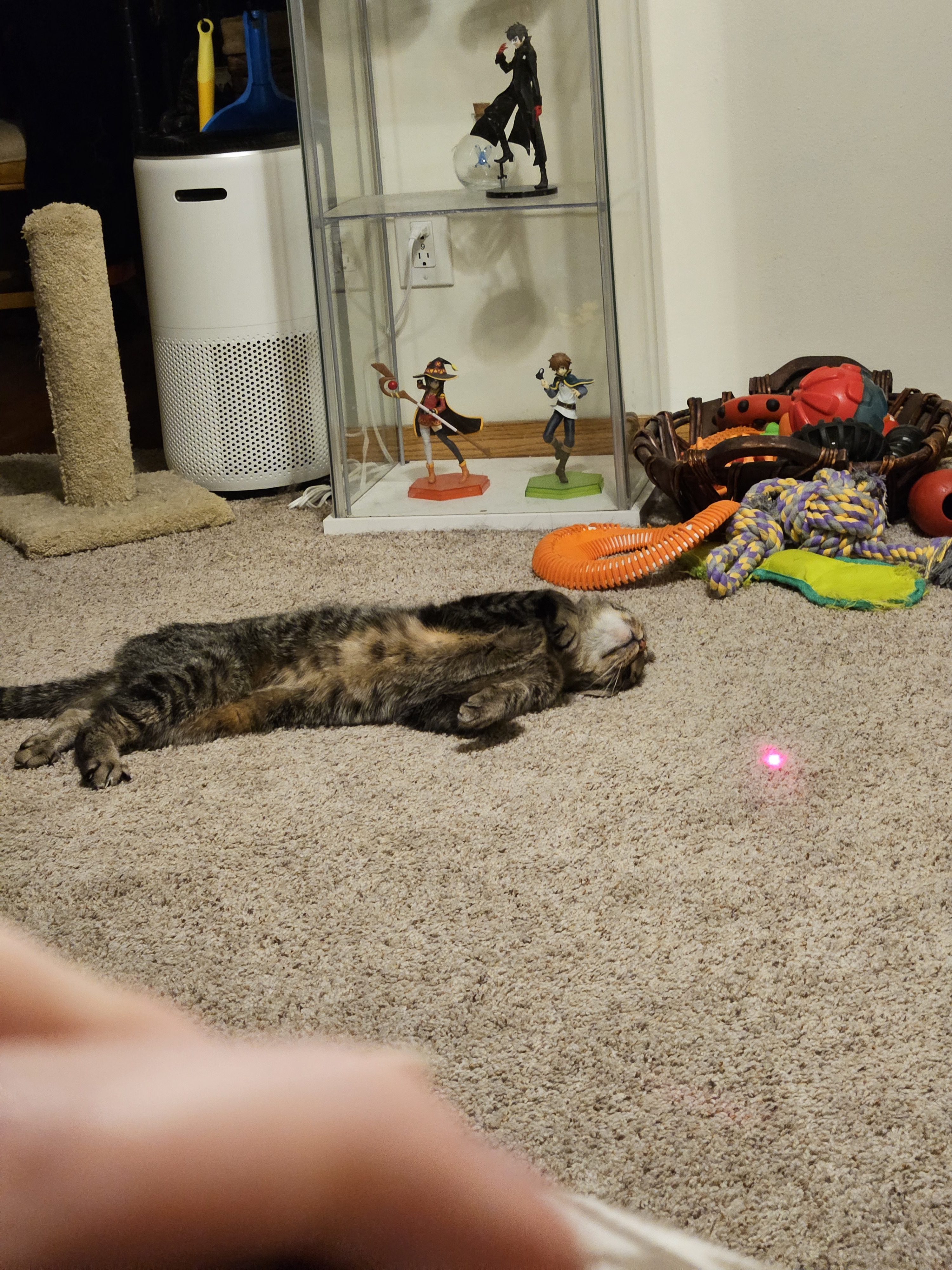 Frank mid roll, with a laser pointer visible